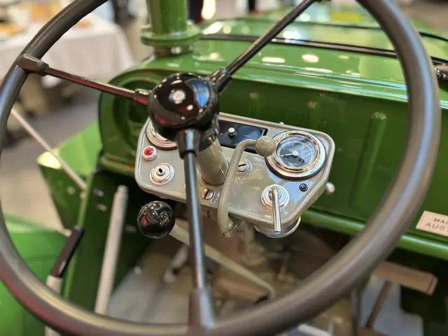 Foto: Andreas Pölzl/MeinBezirk