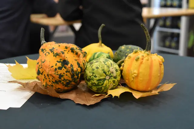 Foto: Michael Strini