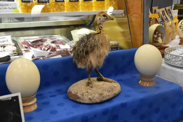 Foto: Michael Strini