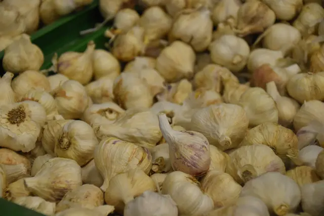 Foto: Michael Strini