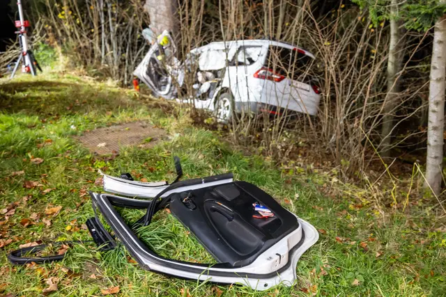 Foto: TEAM FOTOKERSCHI / FRANZ PLECHINGER