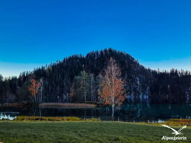 Foto: Janet Bleiker/ Alpengeierin