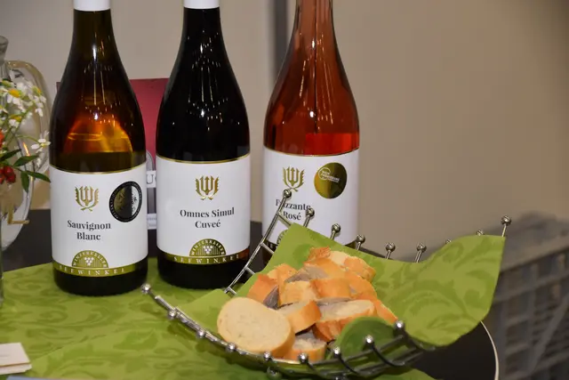 Foto: Michael Strini