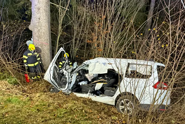 Foto: TEAM FOTOKERSCHI / FRANZ PLECHINGER