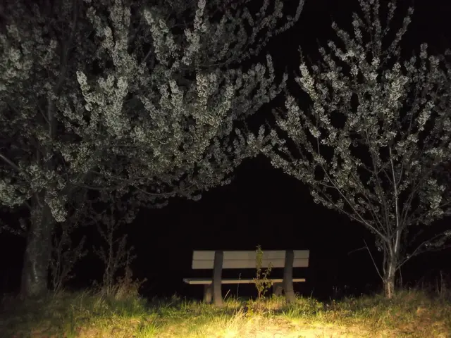 Der Mann flüchtete in ein Waldstück und tauchte die gesamte Nacht über unter (Symbolbild). | Foto: MeinBezirk