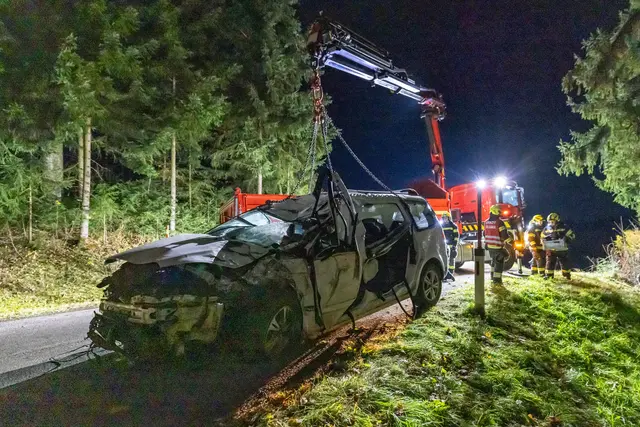 Foto: TEAM FOTOKERSCHI / FRANZ PLECHINGER