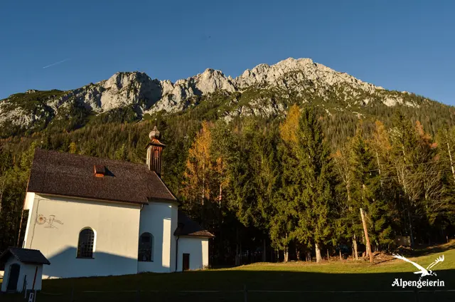 Foto: Janet Bleiker/ Alpengeierin