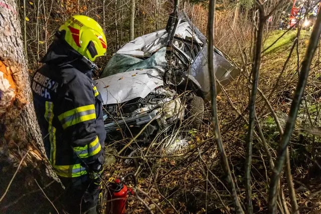 Foto: TEAM FOTOKERSCHI / FRANZ PLECHINGER