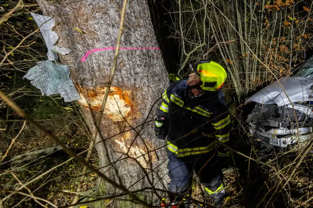 Foto: TEAM FOTOKERSCHI / FRANZ PLECHINGER