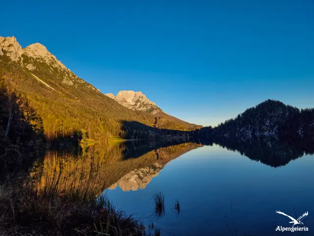 Foto: Janet Bleiker/ Alpengeierin