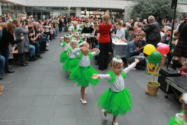 Foto: MeinBezirk Linz-Land