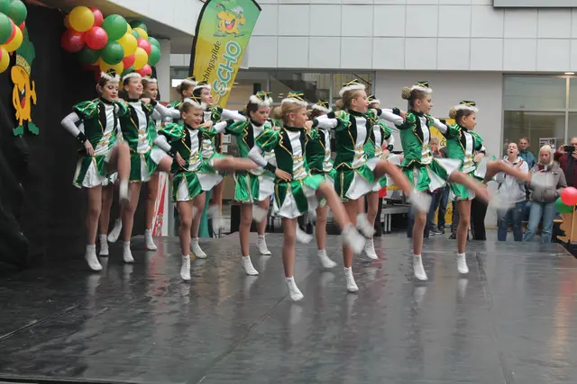 Foto: MeinBezirk Linz-Land