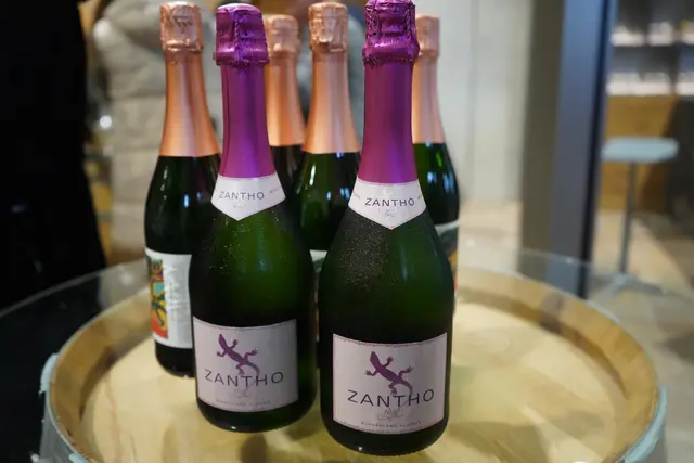 Foto: Andrea Glatzer