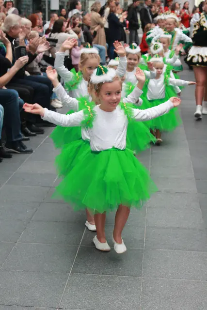 Foto: MeinBezirk Linz-Land
