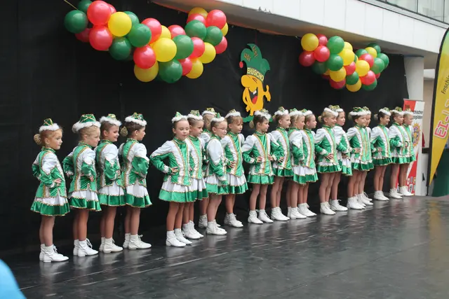 Foto: MeinBezirk Linz-Land