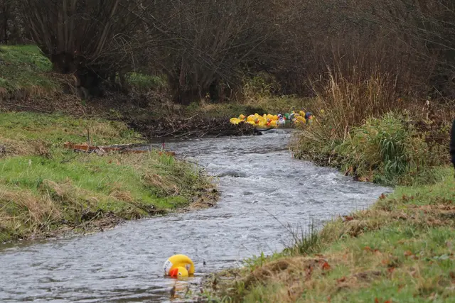 Foto: Fotoclub Zwettl