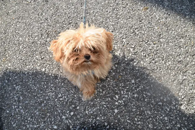 Foto: Michael Strini