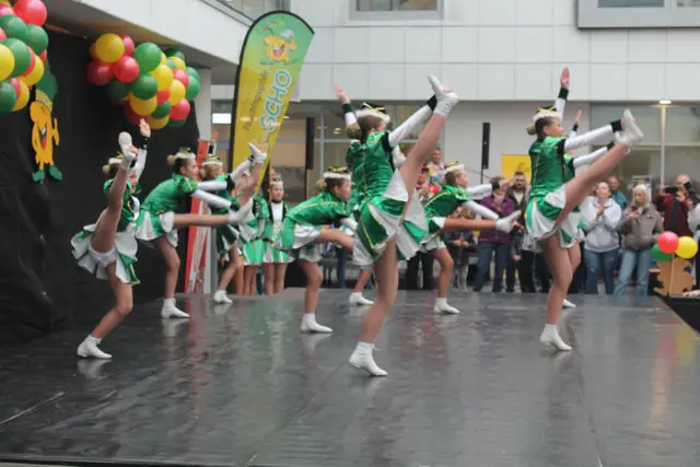 Foto: MeinBezirk Linz-Land