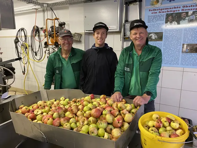 Viele Obstbaumbesitzer:innen kamen zur Obstpresse nach Bramberg. Auch der Neukirchner Bergläufer Manuel Innerhofer (mitte) schaute vorbei. | Foto: Tauriska