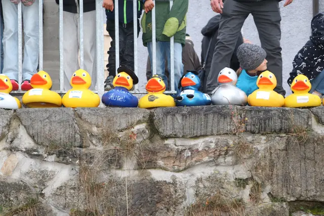 Foto: Fotoclub Zwettl