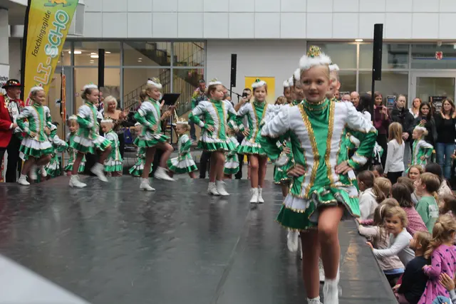 Foto: MeinBezirk Linz-Land