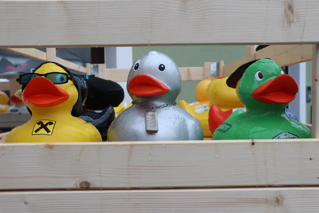 Foto: Fotoclub Zwettl