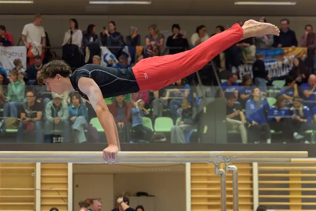 Die Turner zeigten in Ried ihre Top-Leistungen. | Foto: Lara Maier/Helmut Laufenböck