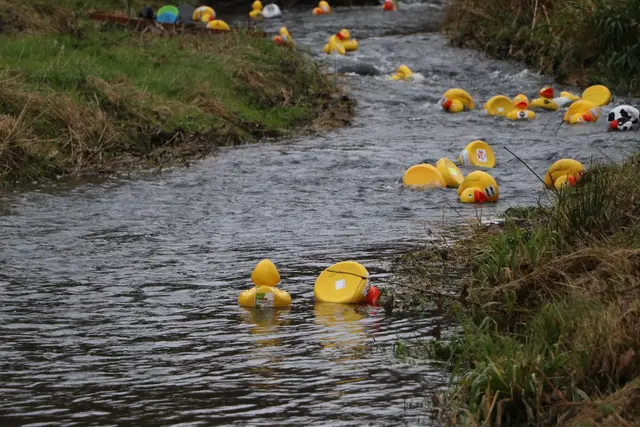 Foto: Fotoclub Zwettl