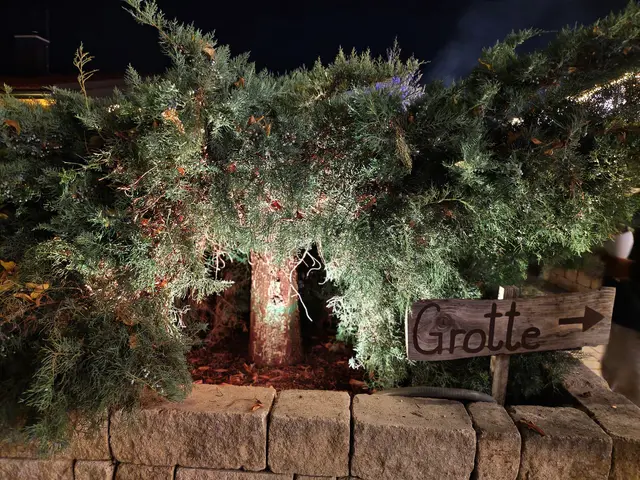 Foto: Eva Lacher-Dörfler