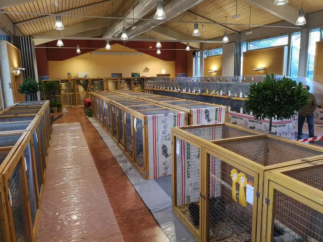 Tauben, Geflügel, Hasen – sind in der Kulturhalle in Mitterdorf zu sehen. Hier ein Bild von der Ausstellung im Volkshaus Wartberg. | Foto: Wagner