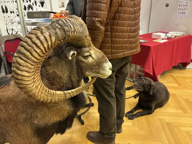 Foto: MeinBezirk/Angelina Koidl