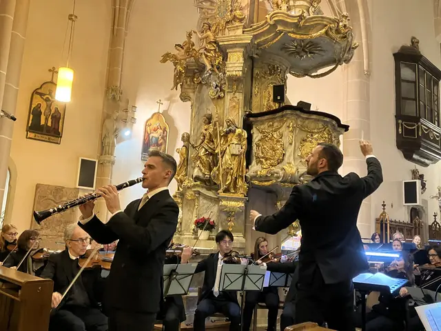 An der Klarinette virtuos: Alexandar Grujic.
Temperamentvoll mit dem Taktstock: Dirigent Guram Tsintsadze. Mit dem Orchester der Musikfreunde Baden | Foto: Stockmann