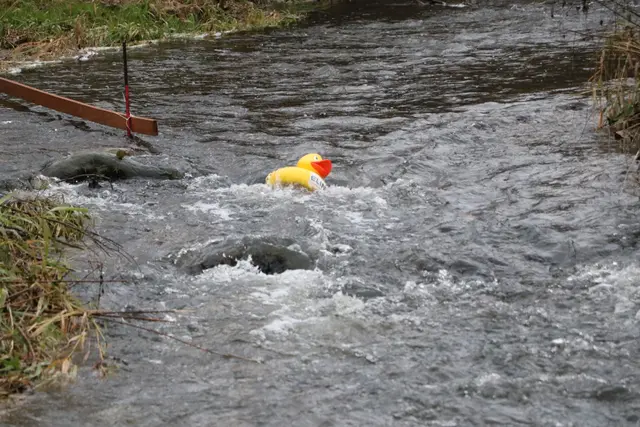 Foto: Fotoclub Zwettl