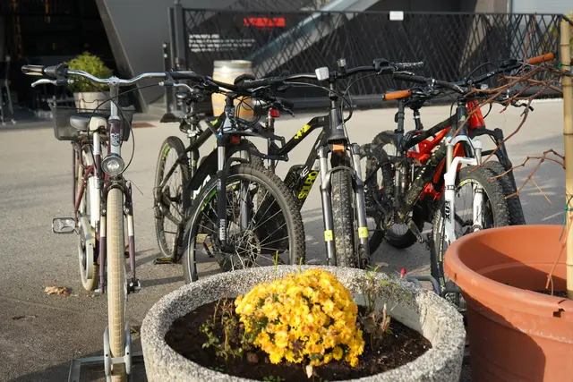 Foto: Andrea Glatzer