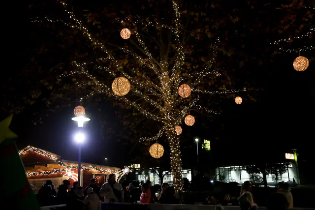 Foto: Eventfoto/Maringer