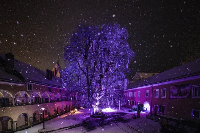 Mit dem Millstätter Lichtweg eröffnet sich eine magische Welt voller funkelnden Installationen und poetischen Stationen. | Foto: Gert Perauer_MBN Tourismus_TVB Millstatt