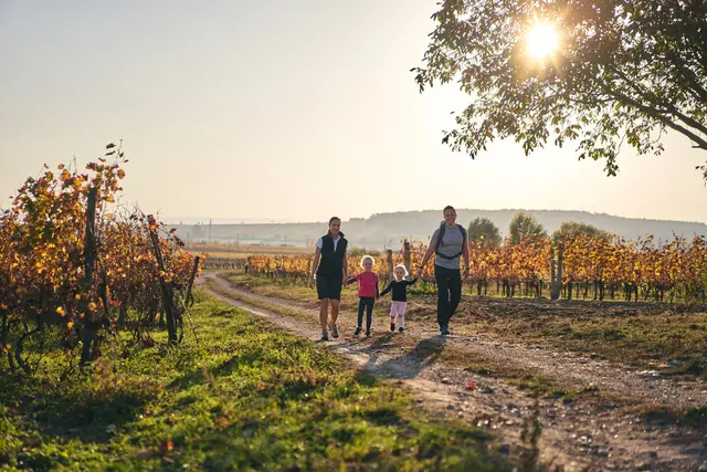 Da die von Nächtigungsgästen zu zahlenden Ortstaxe seit 2022 nicht angepasst wurde, soll sie mit 1. Jänner 2026 auf 4,50 Euro erhöht werden.  | Foto: Burgenland-Tourismus / Thomas Schmid