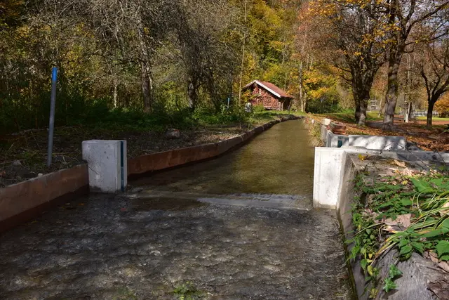 Foto: MeinBezirk/Dominik Lach