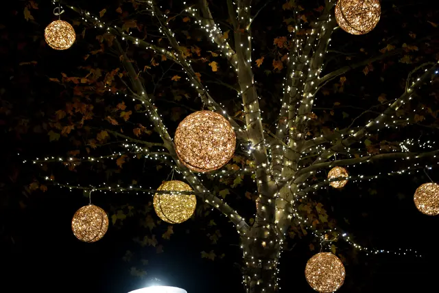 Foto: Eventfoto/Maringer