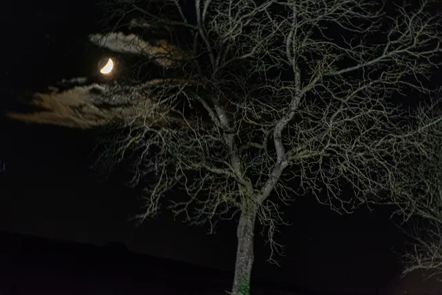 Foto: Pressestelle BFK UU | Thomas Traxler