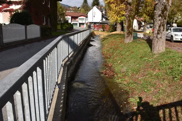 Foto: MeinBezirk/Dominik Lach