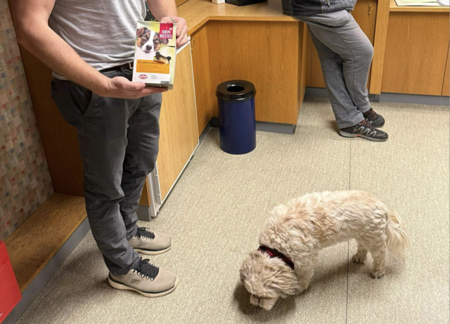 Foto: Feuerwehr Möllbrücke