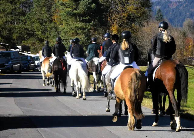 Reitverein Inntal - Fuchsjagd 2025. | Foto: Schwaighofer