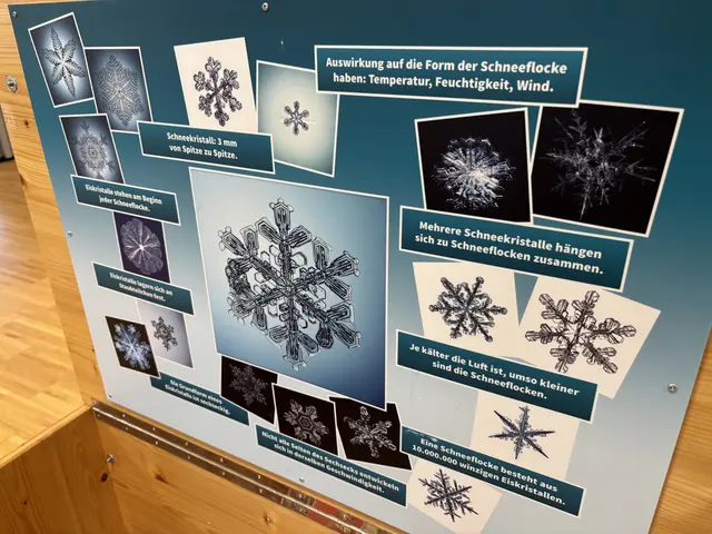 Foto: MeinBezirk/Helmut Riedl