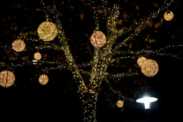 Foto: Eventfoto/Maringer