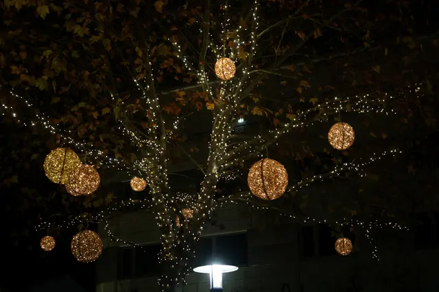 Foto: Eventfoto/Maringer