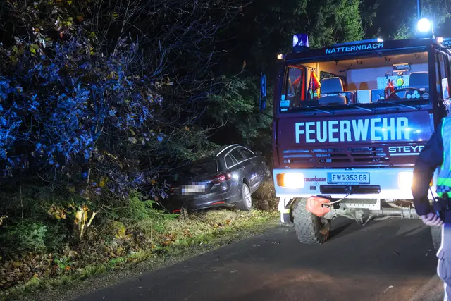 Die 52-jährige Autolenkerin kam vermutlich aus gesundheitlichen Ursachen von der Straße ab.  | Foto: laumat/Matthias Lauber