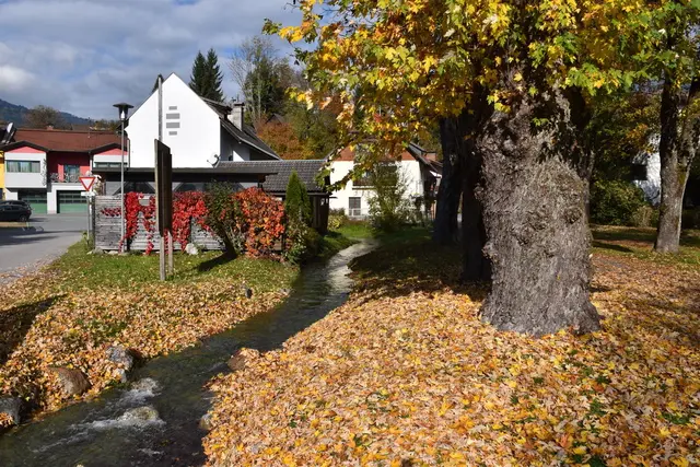 Foto: MeinBezirk/Dominik Lach