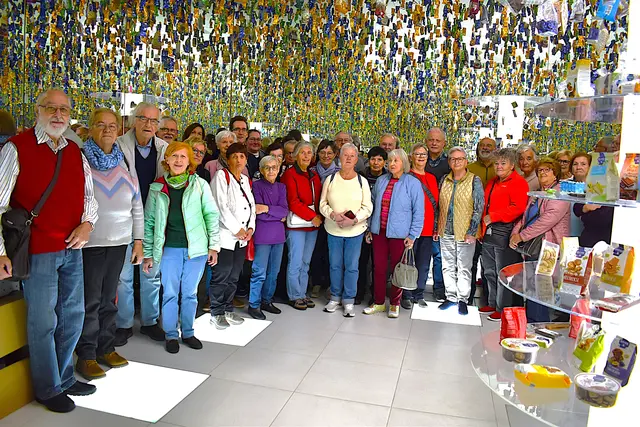 Der Pensionistenverband St. Aegyd auf der letzten Jahresreise nach Bad Leonfelden &amp; Enns.  | Foto: Pensionisten Verband Klaus Rabl