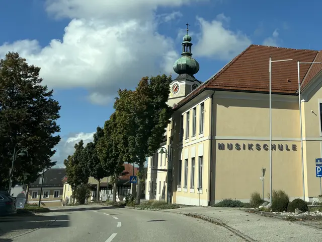 Die Bücherei Niederneukirchen lädt am 27. November zu einem Filmabend mit „Die Vergesslichkeit der Eichhörnchen“ in die Landesmusikschule ein. | Foto: MeinBezirk/Ulrike Plank